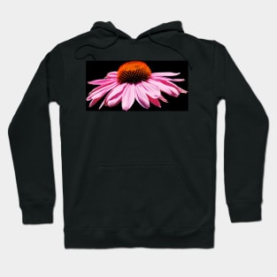 Echinacea Purpurea on White Background Hoodie